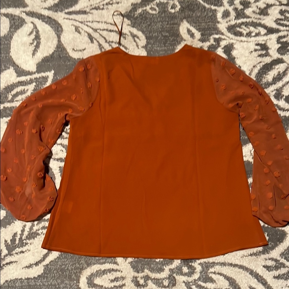 Pink Lily rust colored Blouse - Picture 4 of 4